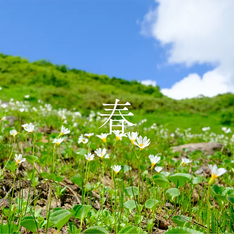春