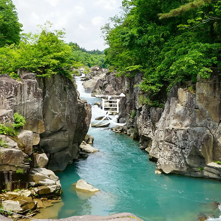 夏